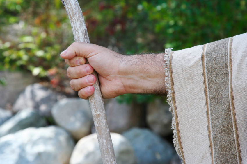 SHEPERD'S STAFF (TONGKAT GEMBALA)