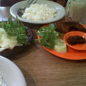 TINGGAL DAN MEMBANTU