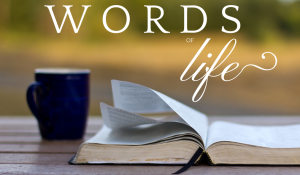 words