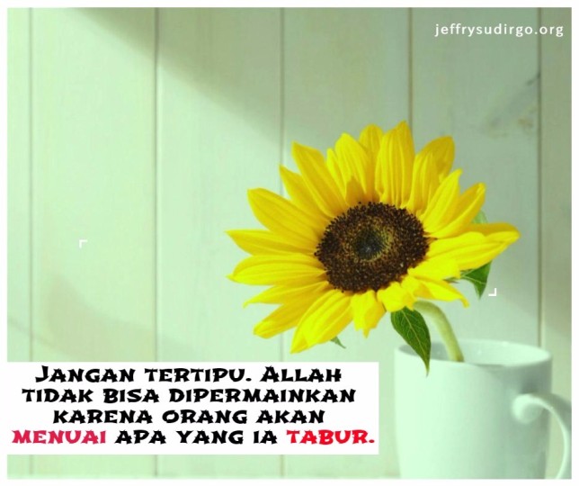 tabur