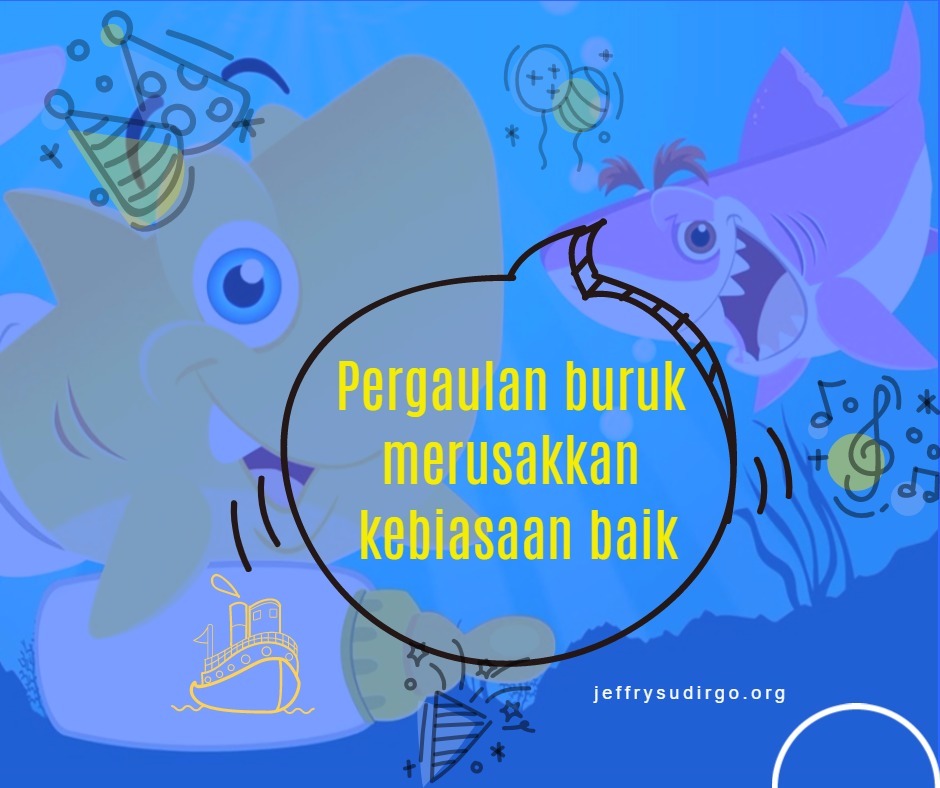 BABY SHARK DODODO