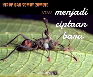 semut zombie