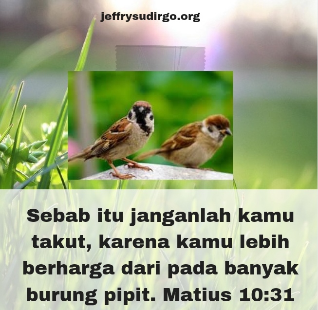 TUHAN LEBIH PEDULI