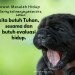 BLACK DOG